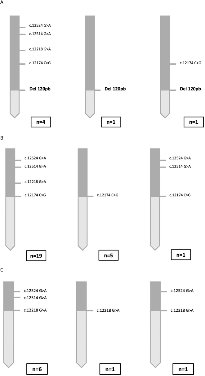 Figure 3: