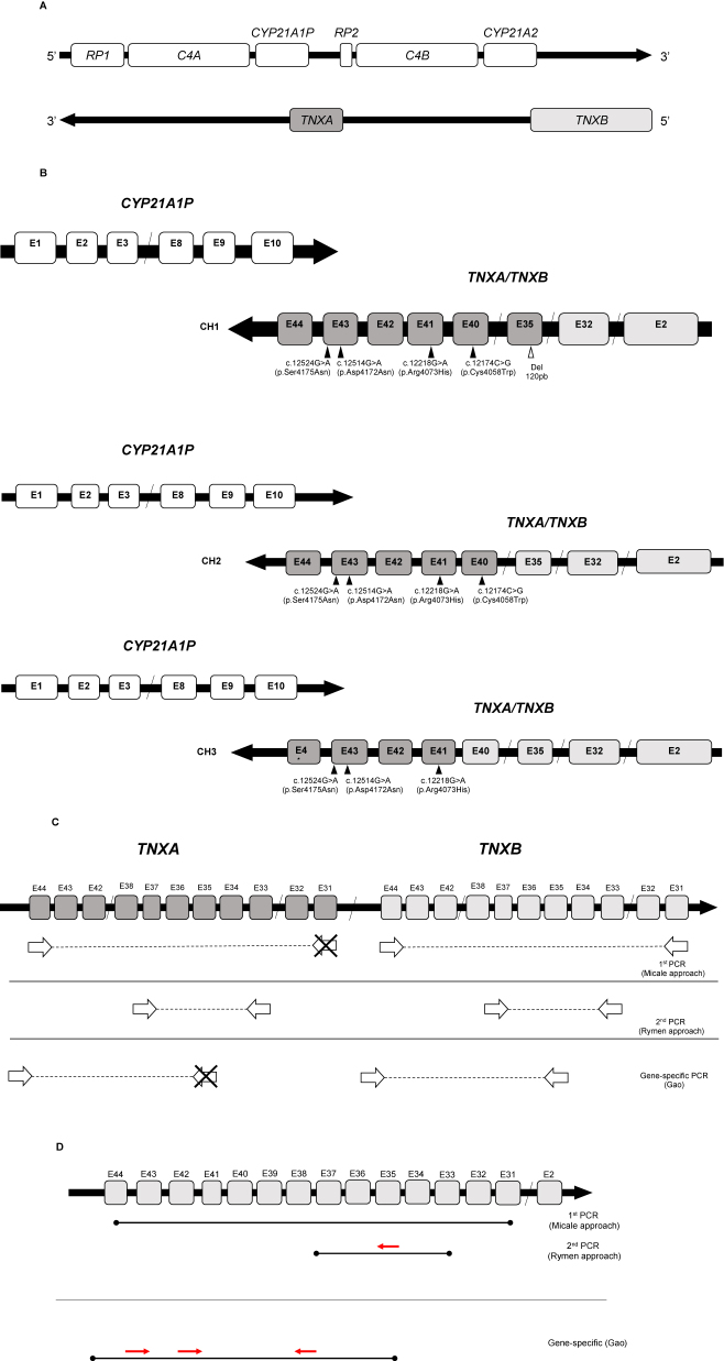 Figure 1: