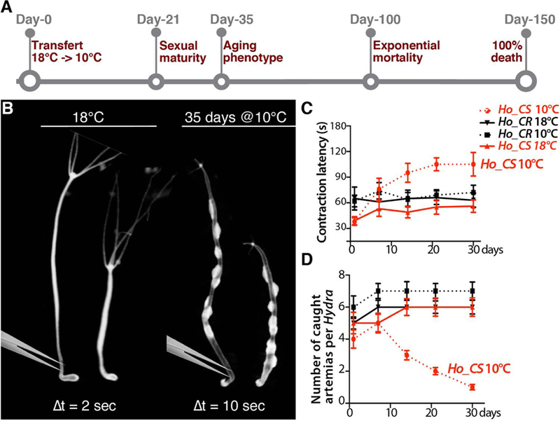 Fig.3