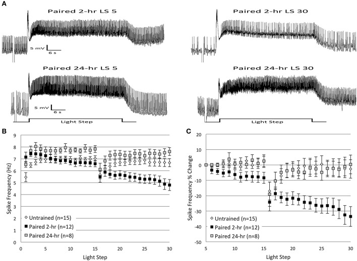 Figure 12