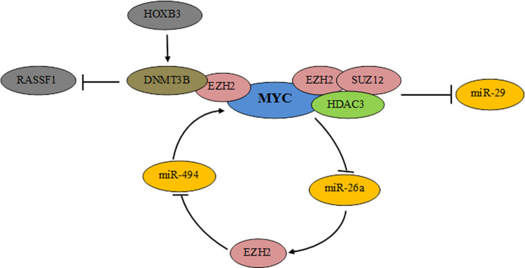 Fig. 2