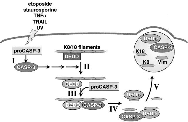 Figure 10.