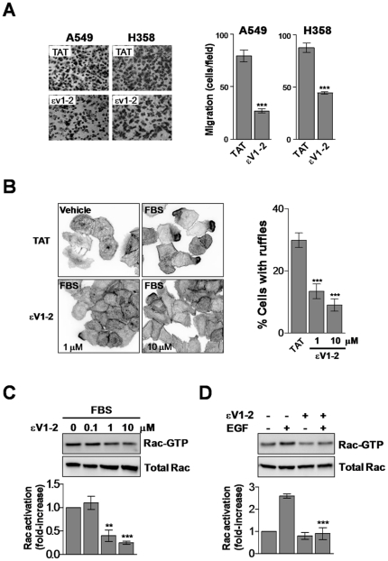 Figure 5.The