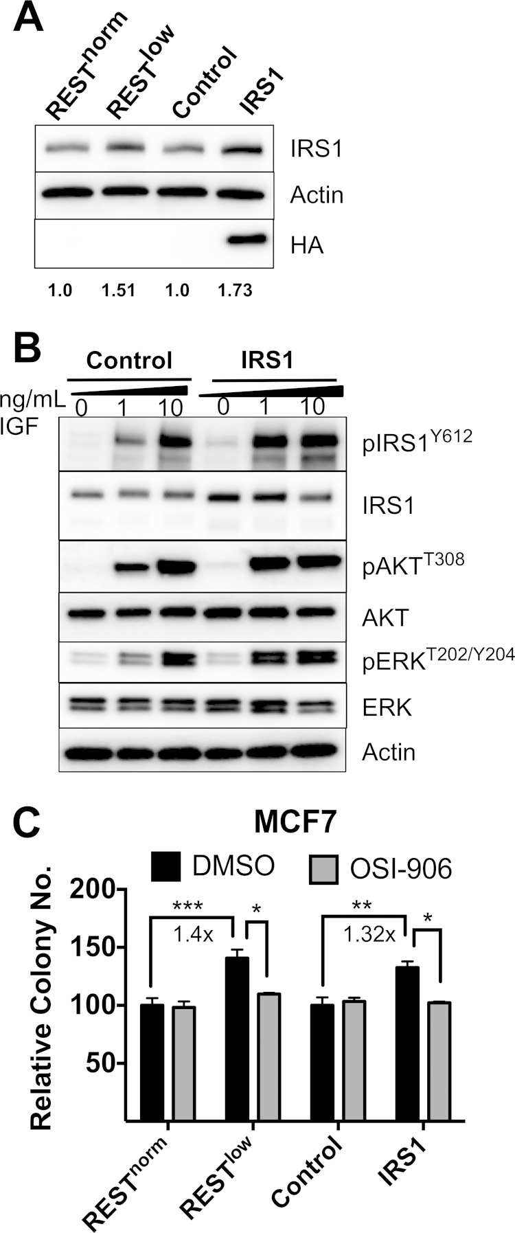 FIG 7