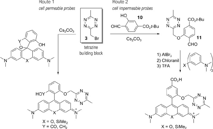 Scheme 1