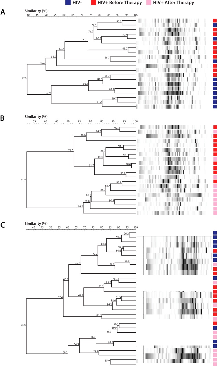 FIG 3