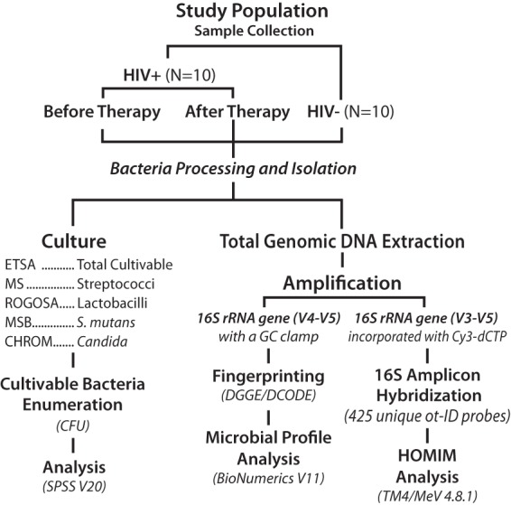 FIG 1