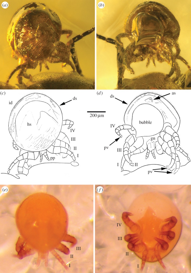 Figure 2.