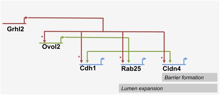 Figure 7.