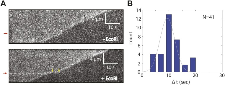 Fig. S6.