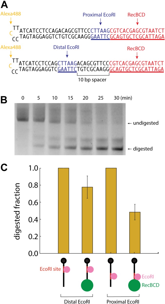 Fig. S7.