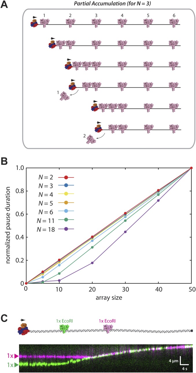 Fig. S1.