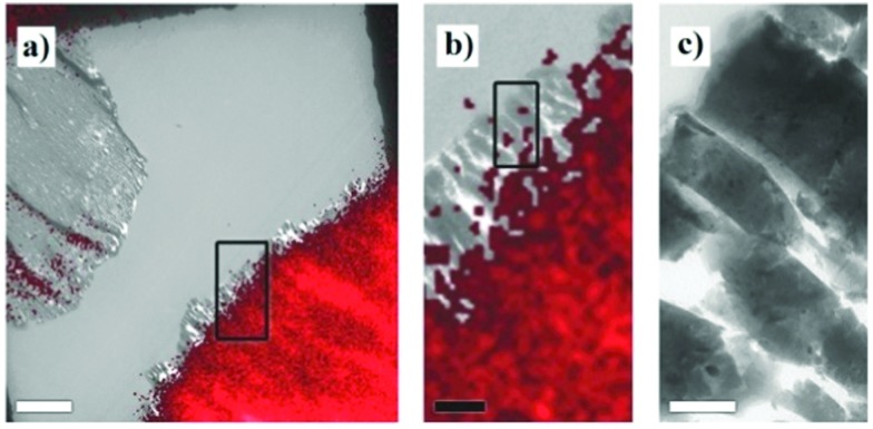 Fig. 32