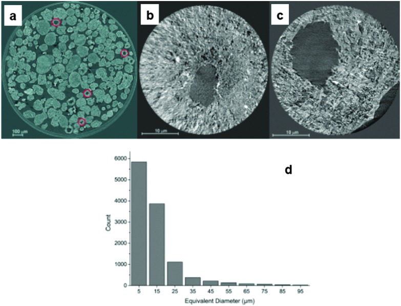 Fig. 24