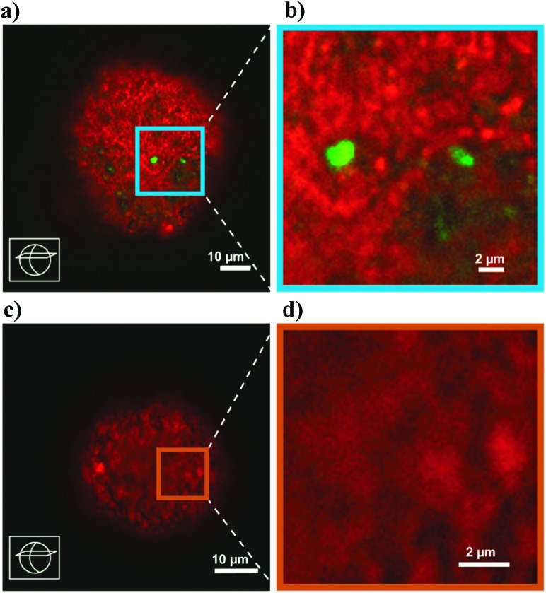 Fig. 27