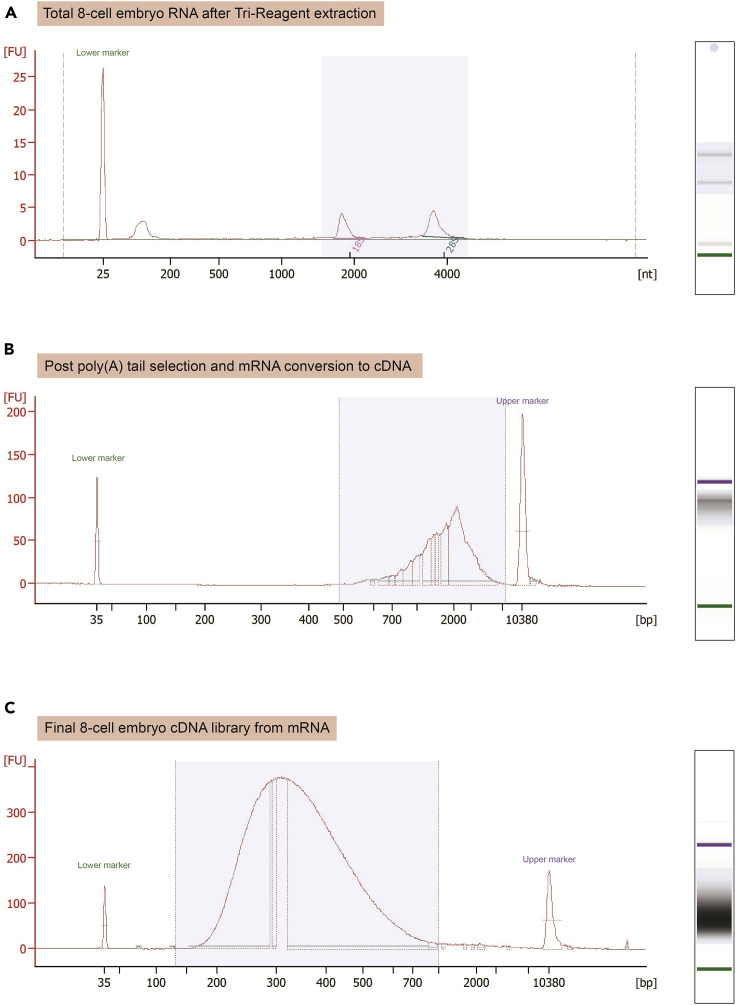 Figure 5