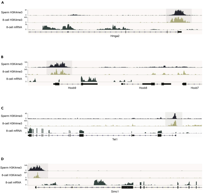 Figure 6