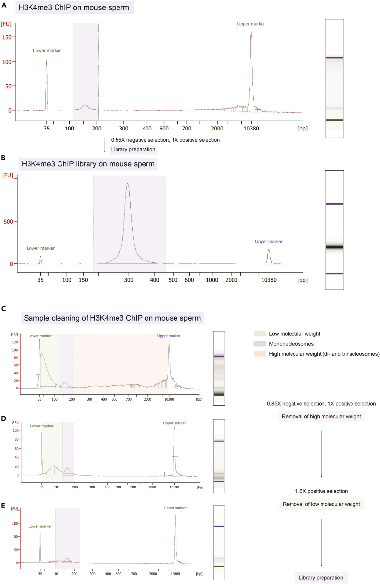 Figure 3