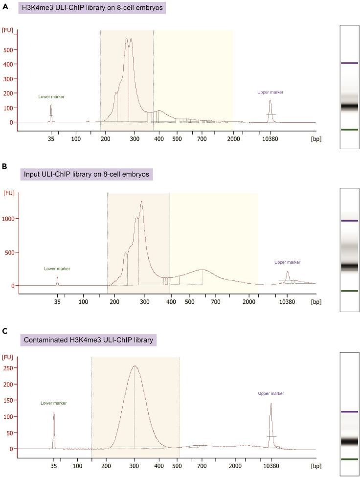 Figure 4