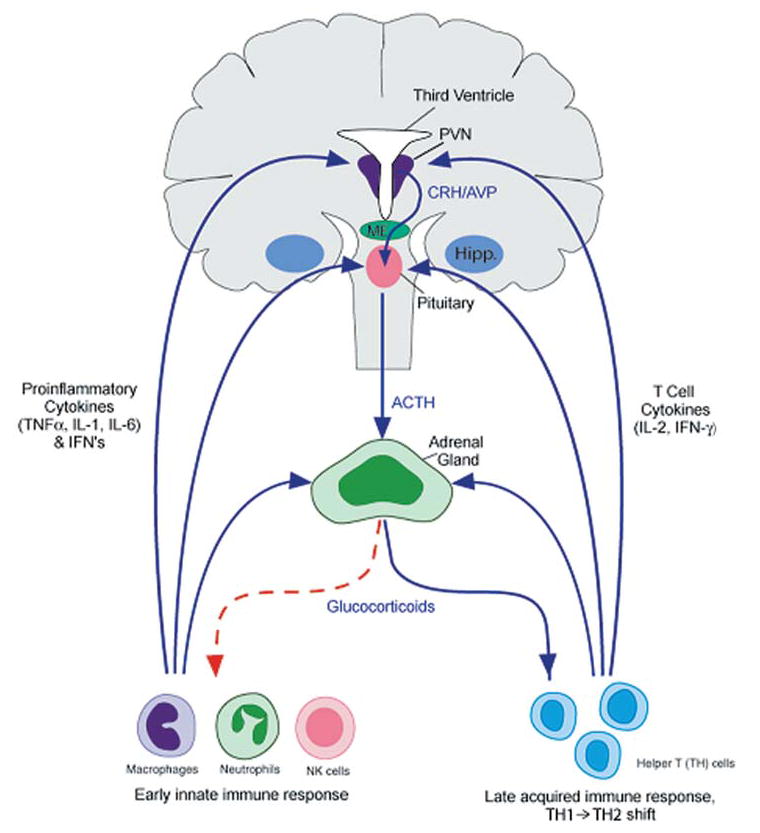 FIG. 1