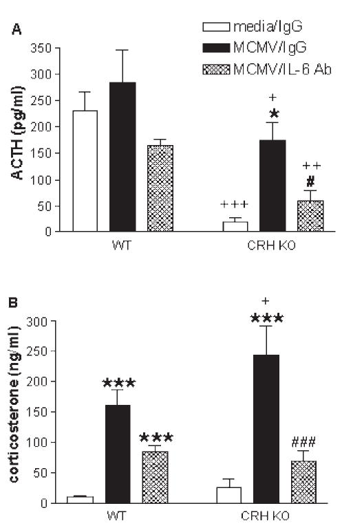 FIG. 10