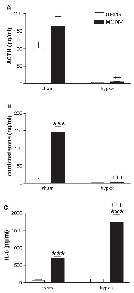 FIG. 11