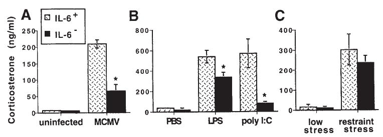 FIG. 7