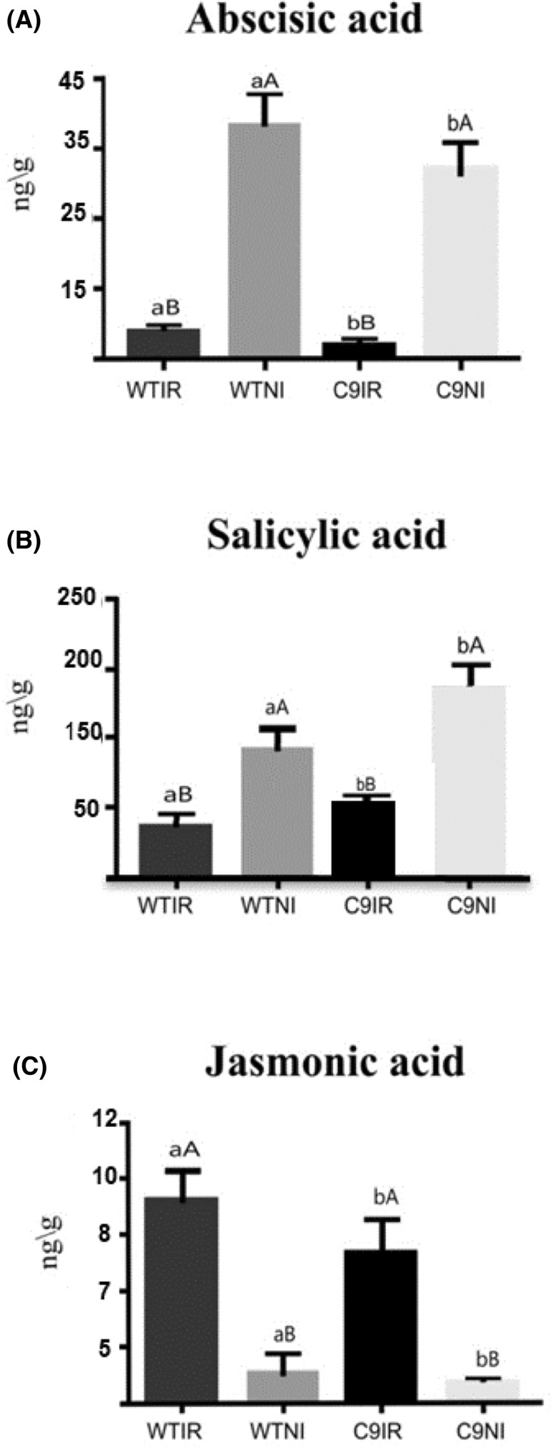 Fig. 2