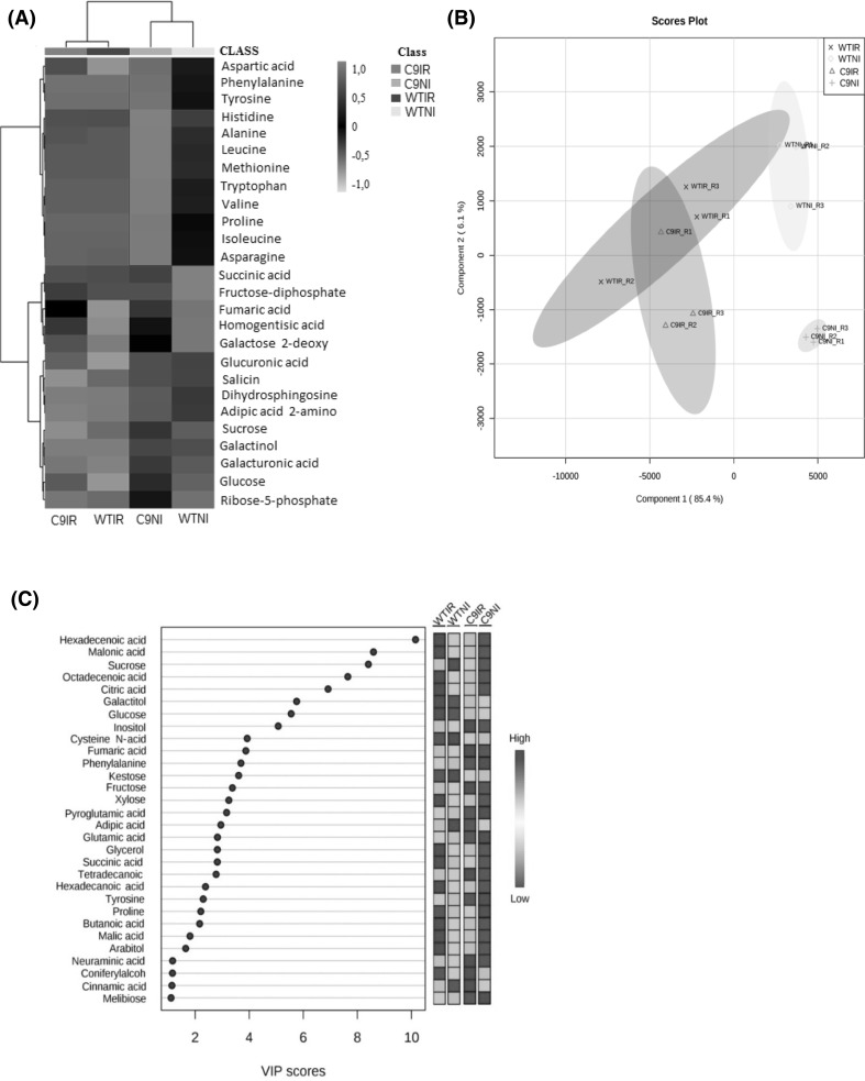 Fig. 3
