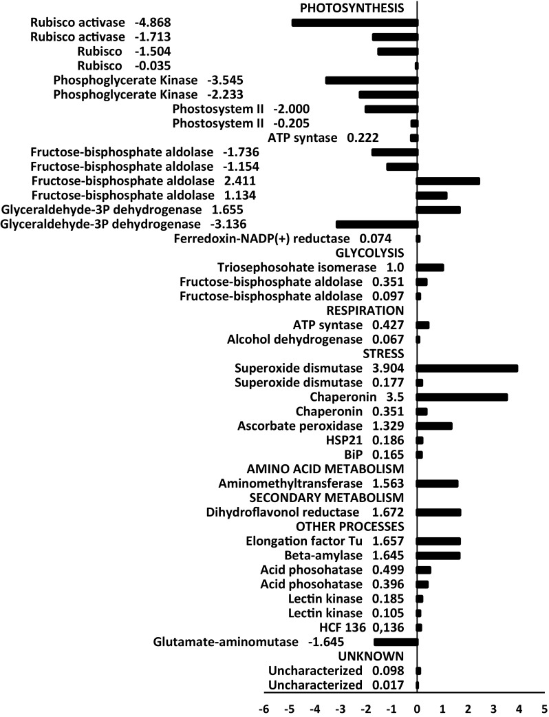 Fig. 7