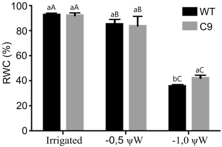 Fig. 1