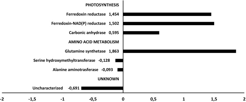 Fig. 9