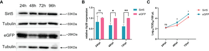 Figure 5