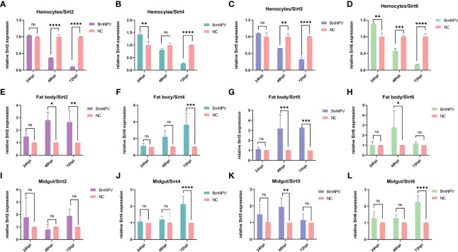 Figure 2