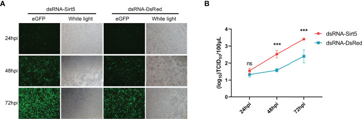 Figure 4