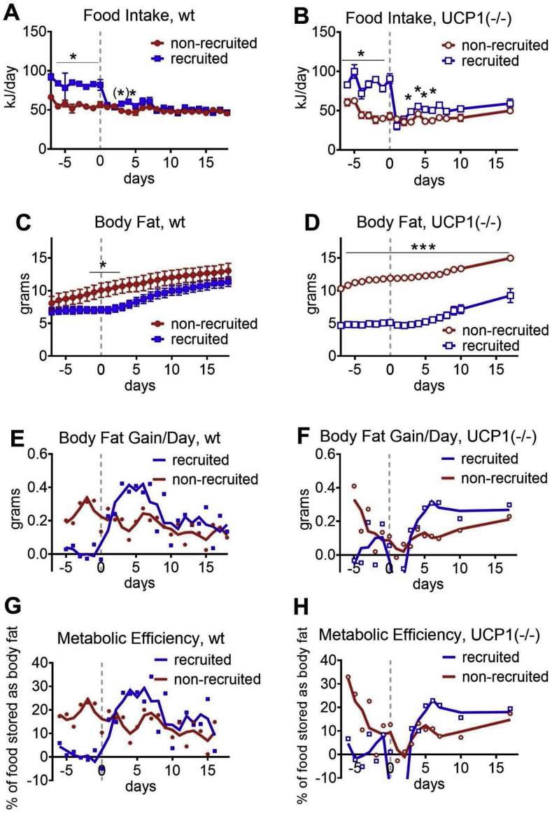 Figure 5