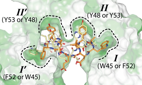 Fig. 3.