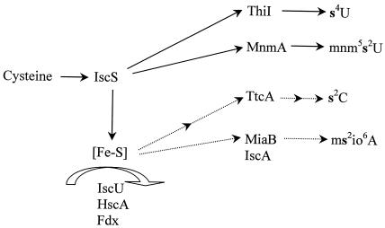 FIG. 7.