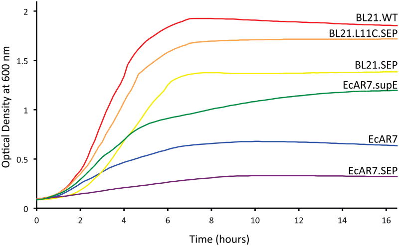 Fig. 2