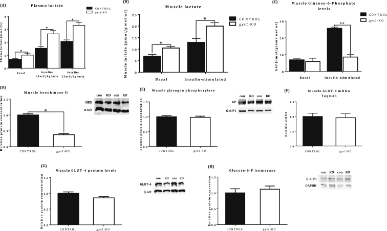 Figure 6