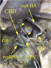 Figure 14.