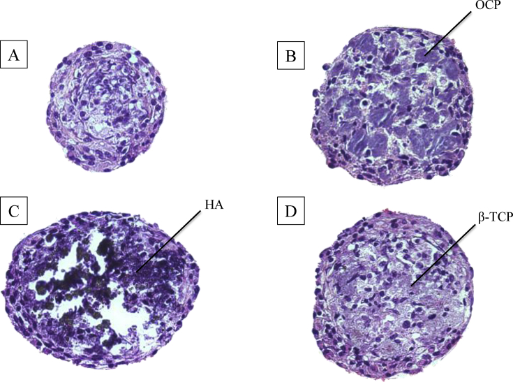 Fig. 4