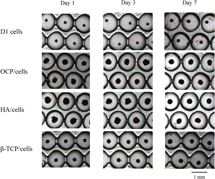 Fig. 1