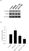 Fig 5