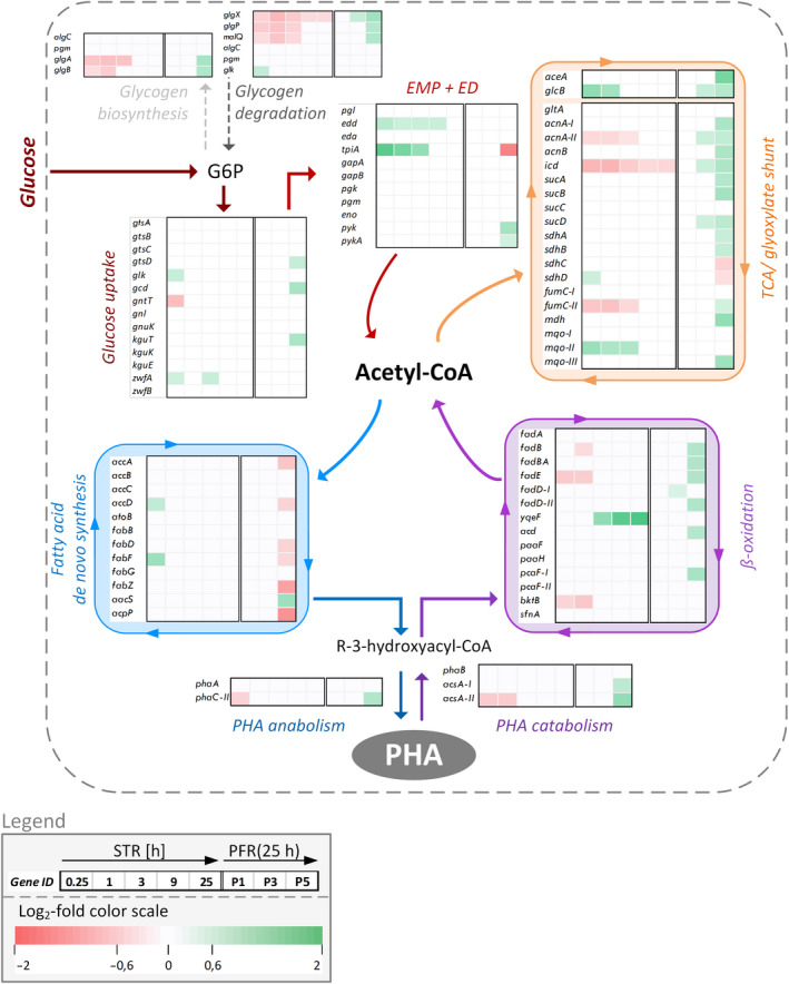 Fig. 4