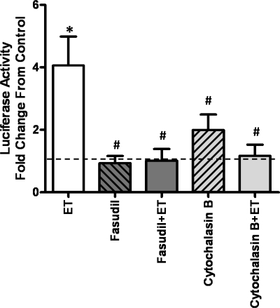 Fig. 8.