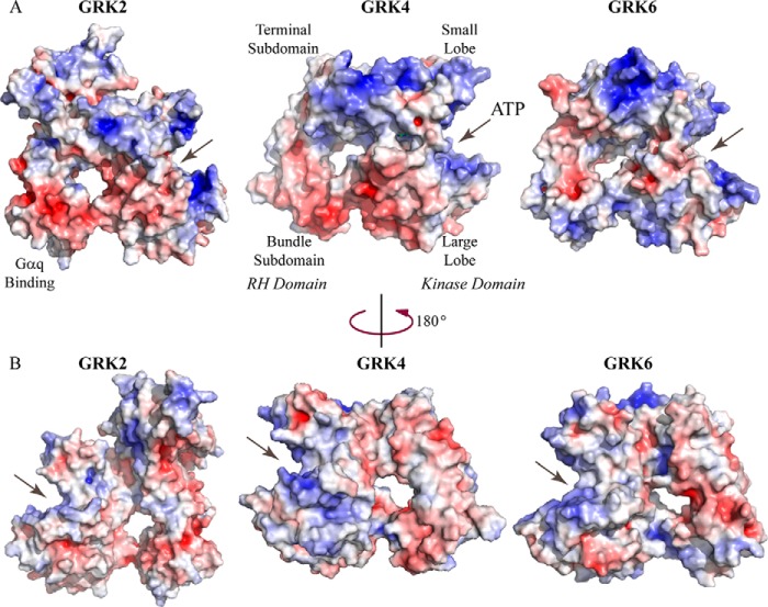 FIGURE 4.