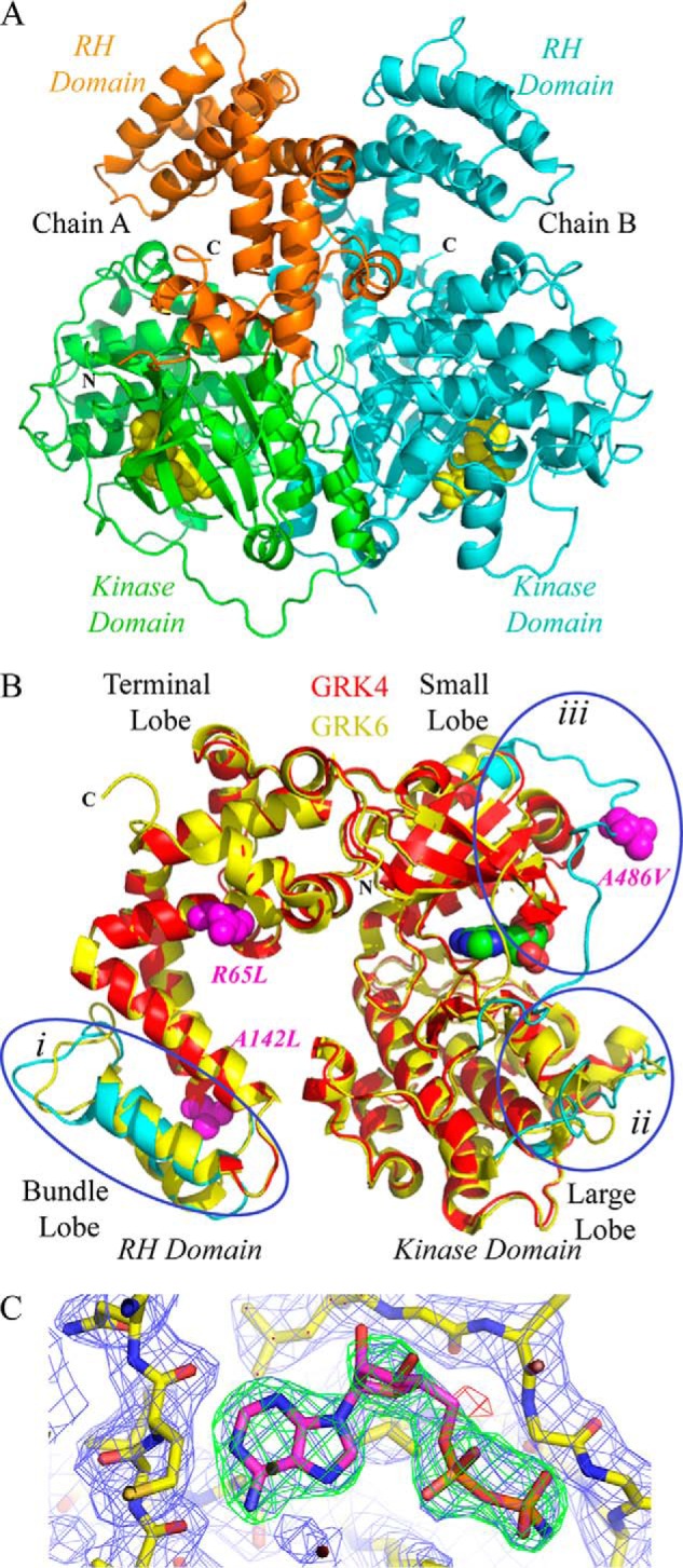 FIGURE 2.