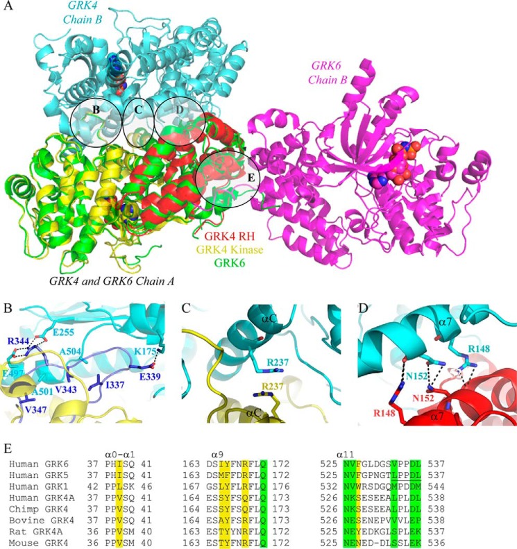 FIGURE 5.