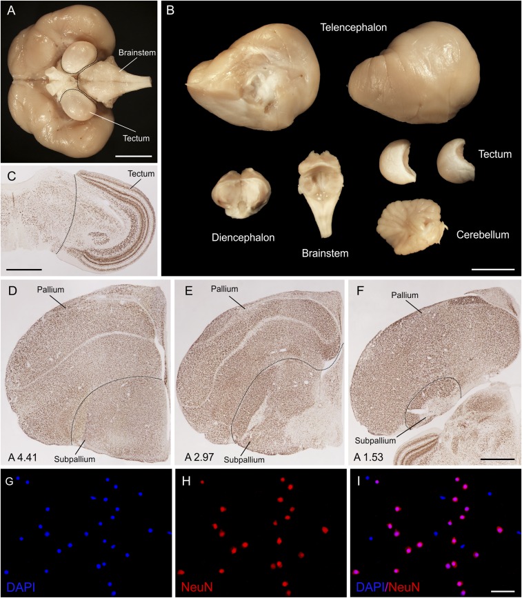 Fig. S2.